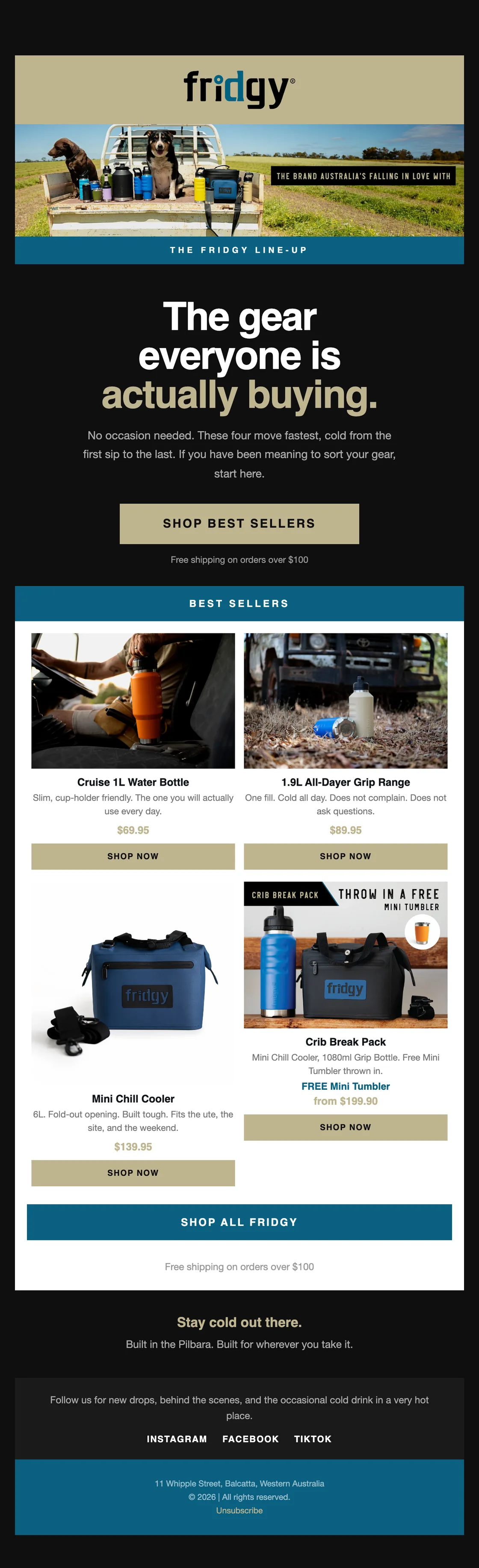 Fridgy best sellers campaign email designed and built in Klaviyo by Enkindle Group