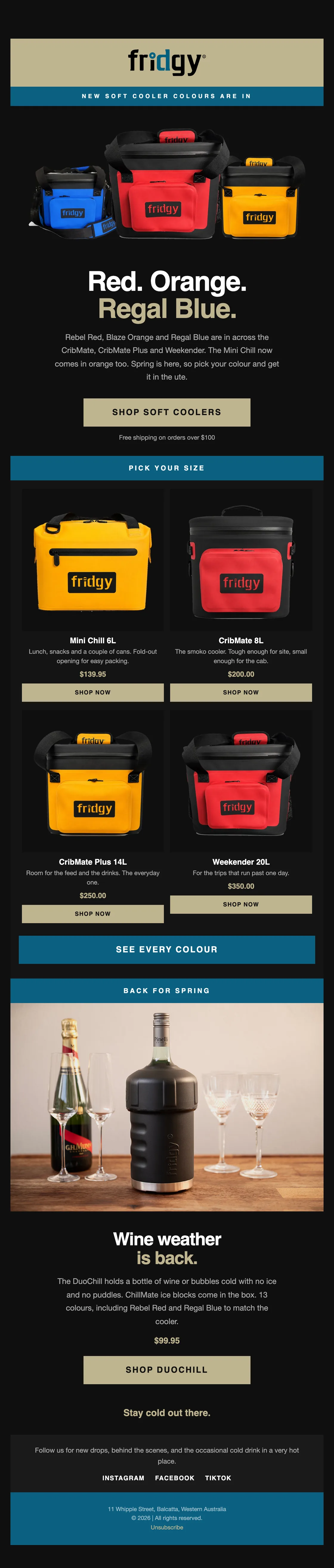 Fridgy new colours launch campaign email designed and built in Klaviyo by Enkindle Group