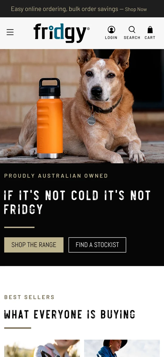 The Fridgy homepage on a phone