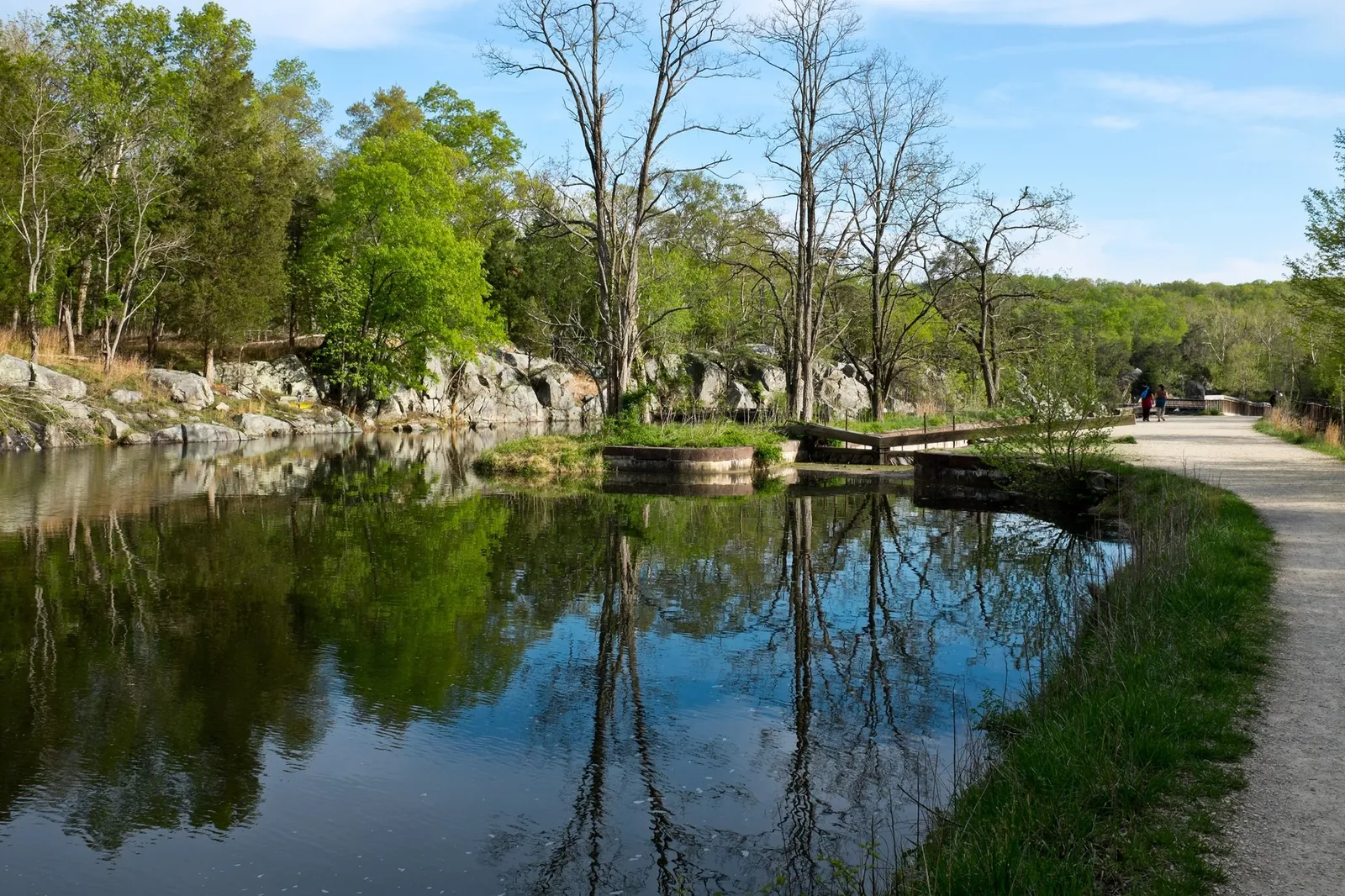 The C&O Canal towpath near Lock 15 below Great Falls, with still water and spring trees