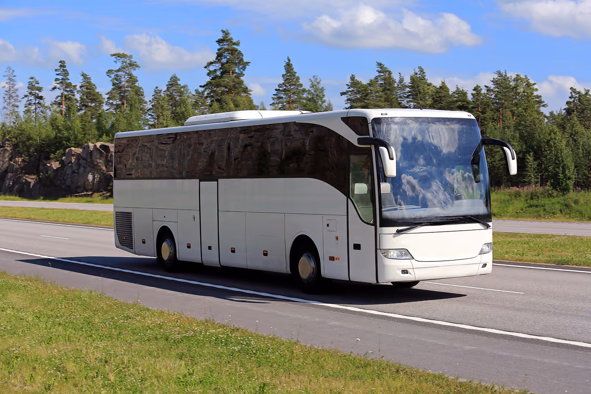 White coach bus driving on a road with trees and blue sky in the background.