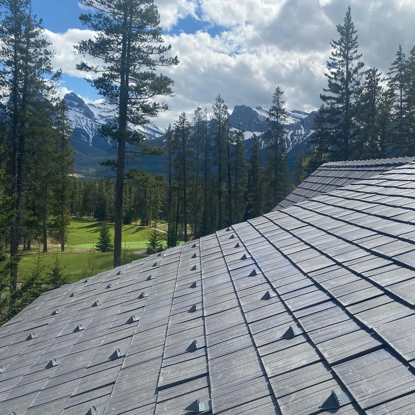 Enviroshake roof with rows of snow guards overlooking a forest and mountain landscape.