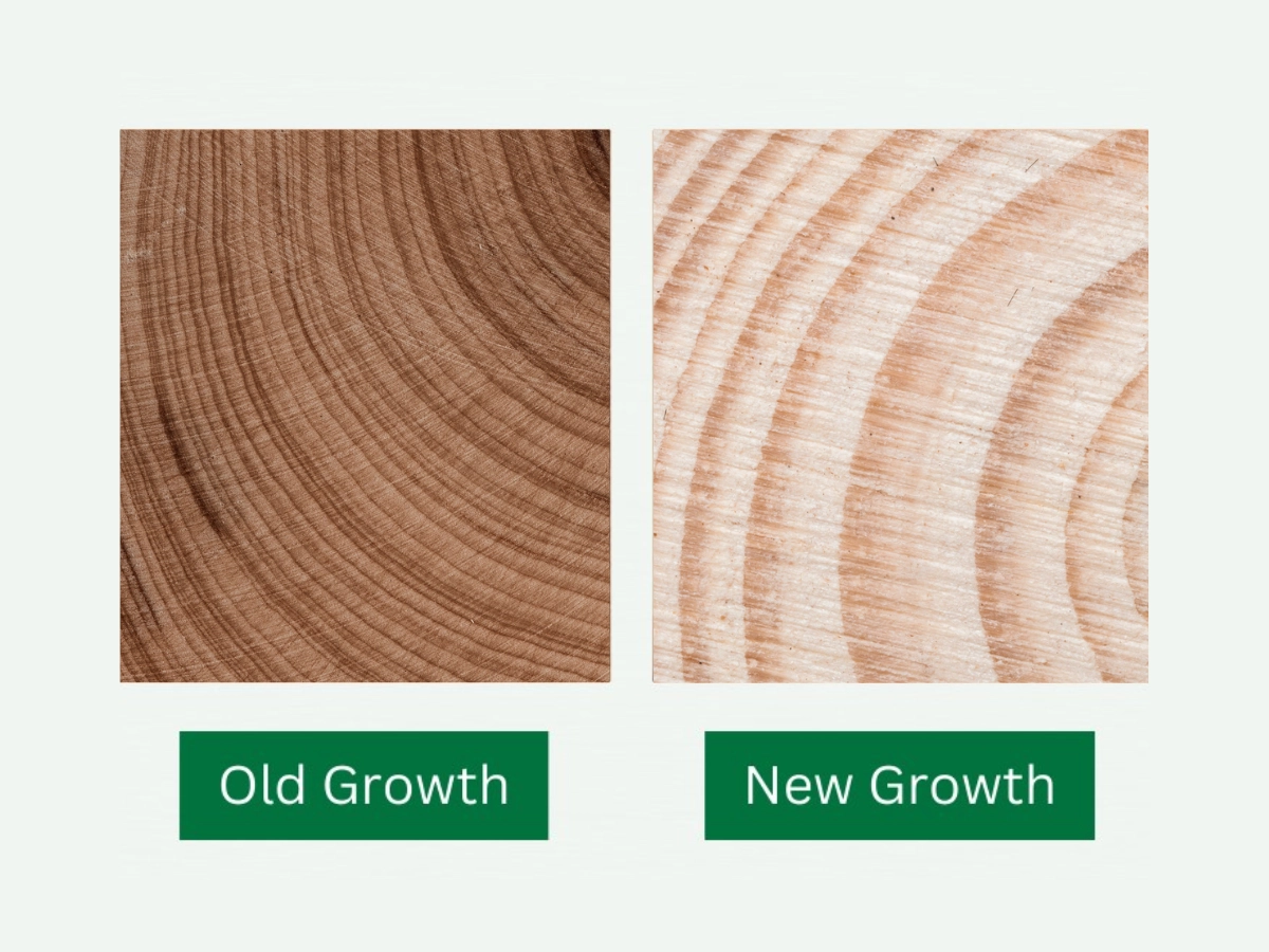 Comparison of old growth and new growth wood cross-sections, showing tightly spaced growth rings in the old growth sample versus wider, less dense rings in the new growth sample, each labeled with a green banner.