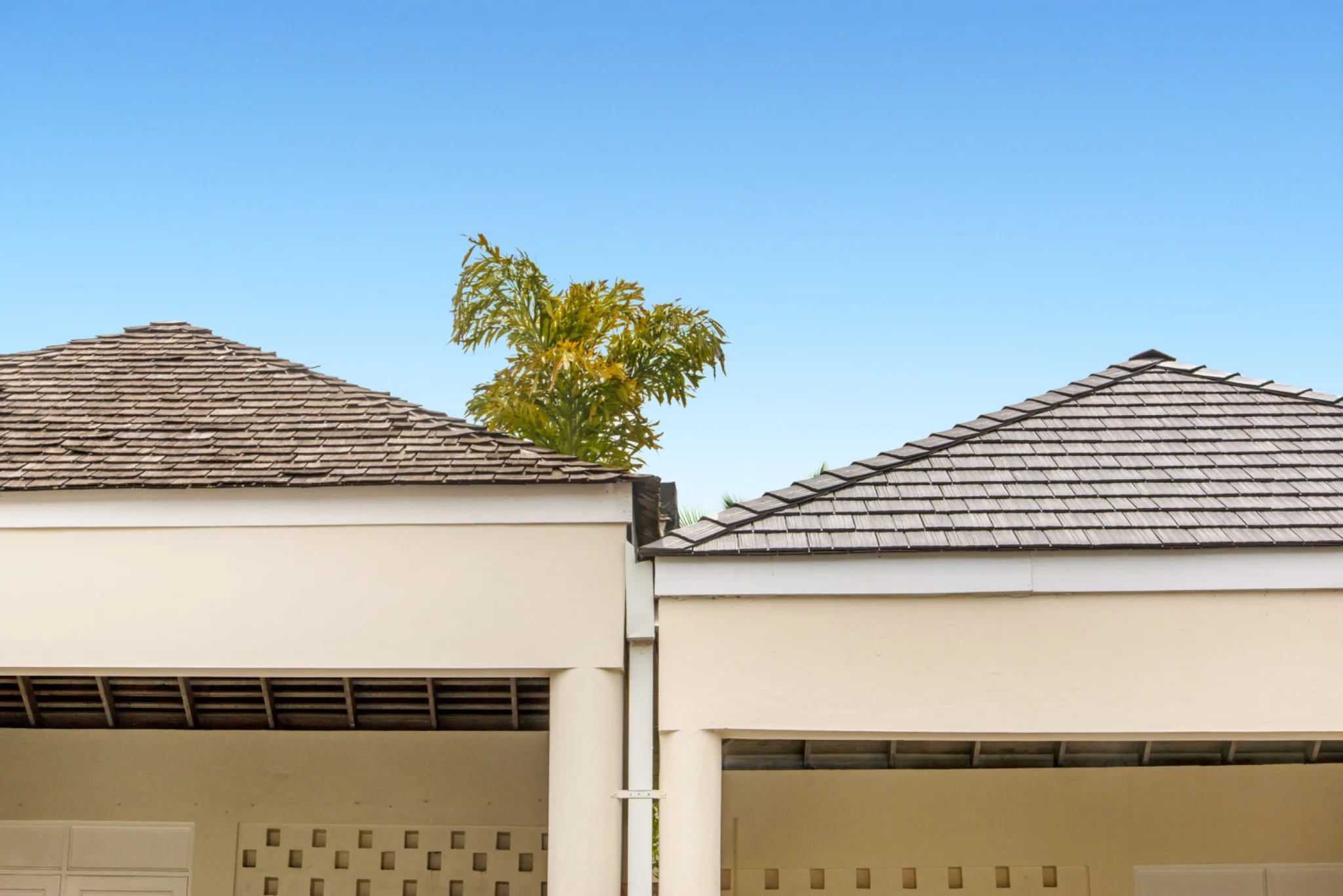 Two adjacent roof gables against a clear blue sky: a weathered cedar shake roof on the left and a matching-style gray Enviroshake composite roof on the right, over white columned buildings with wood-slat vents.