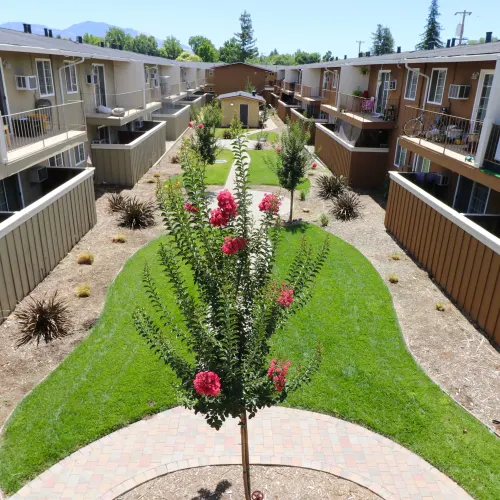 Courtyard