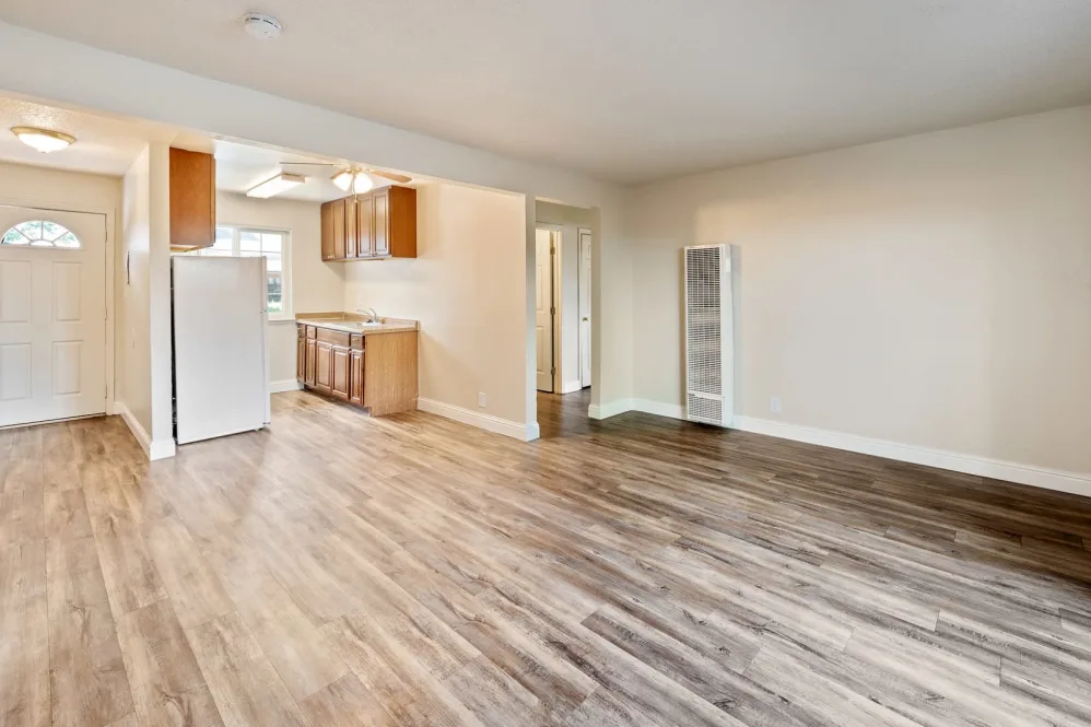 Living room and kitchen