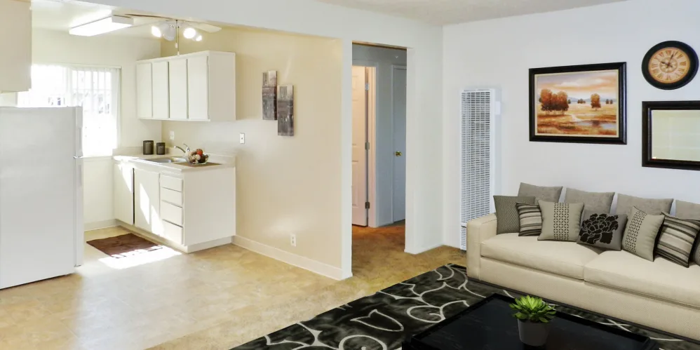 Living room and kitchen