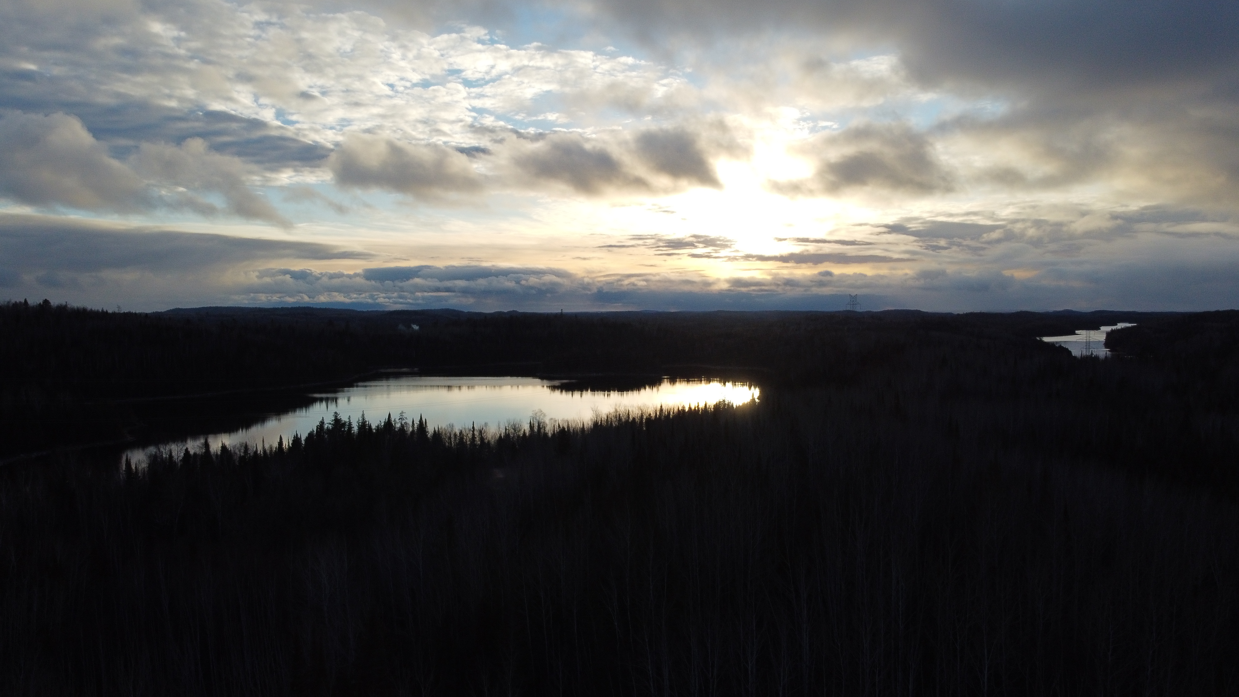 Tabor project — wide angle forest landscape