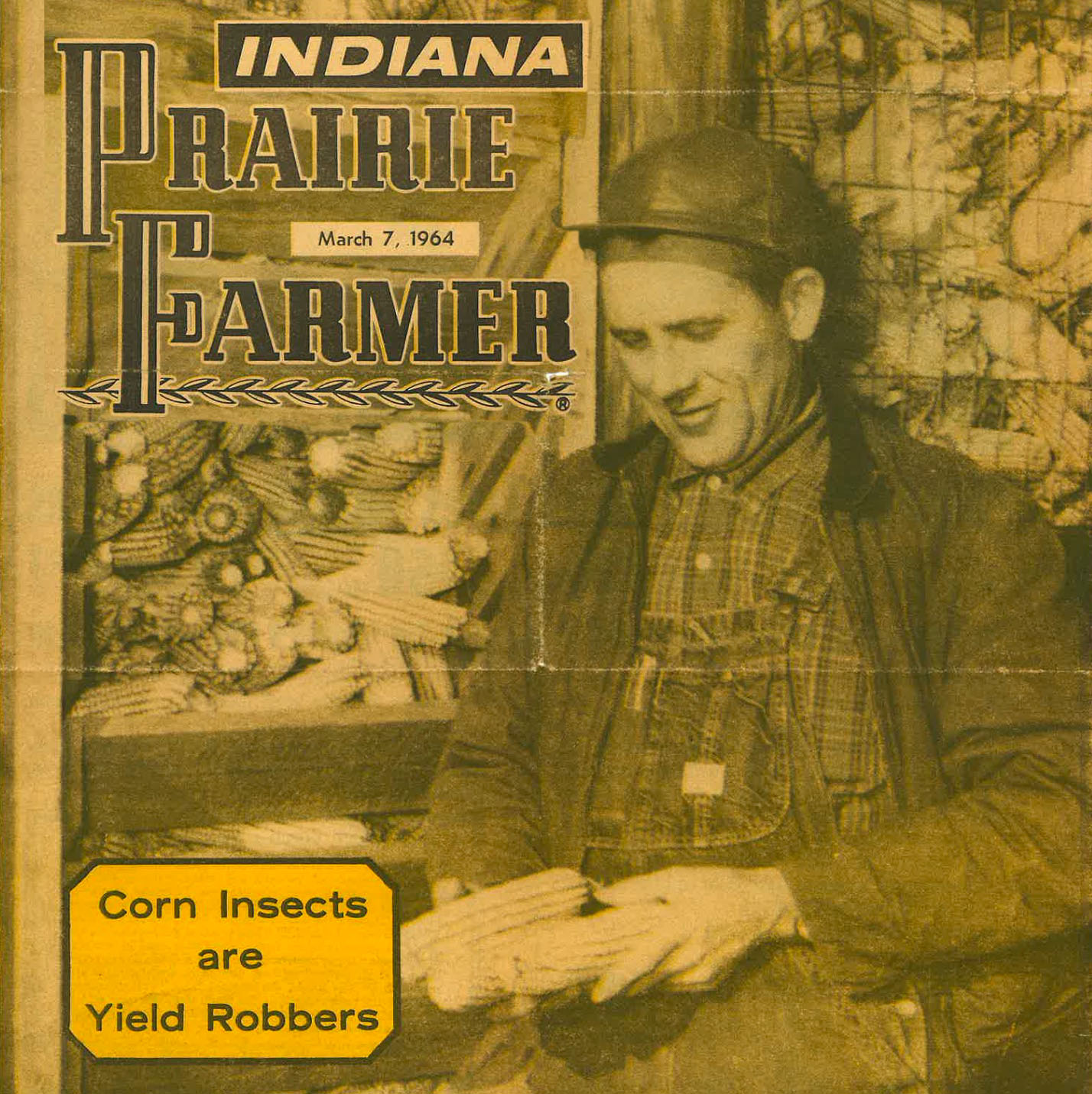 A farmer in overalls holding ears of corn with a sign saying Corn Insects are Yield Robbers.