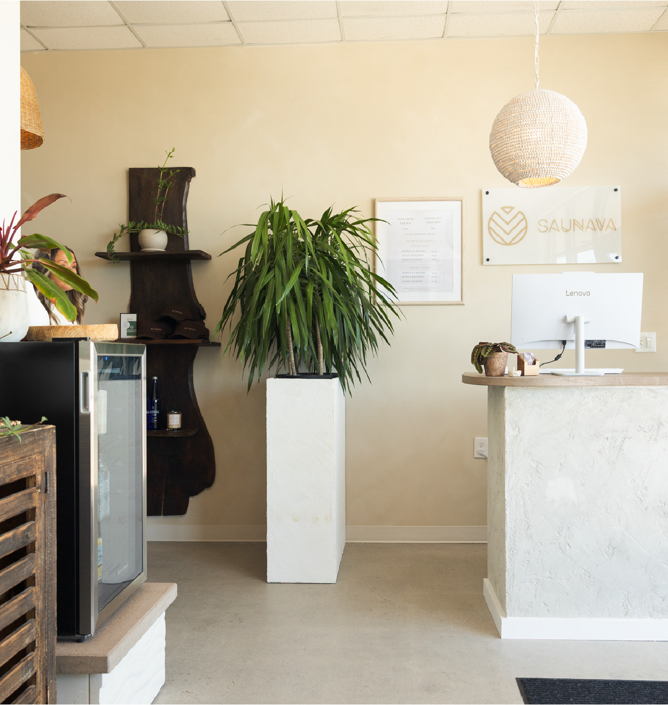Reception desk with computer, large plant on white stand, and Saunava sign on beige wall.