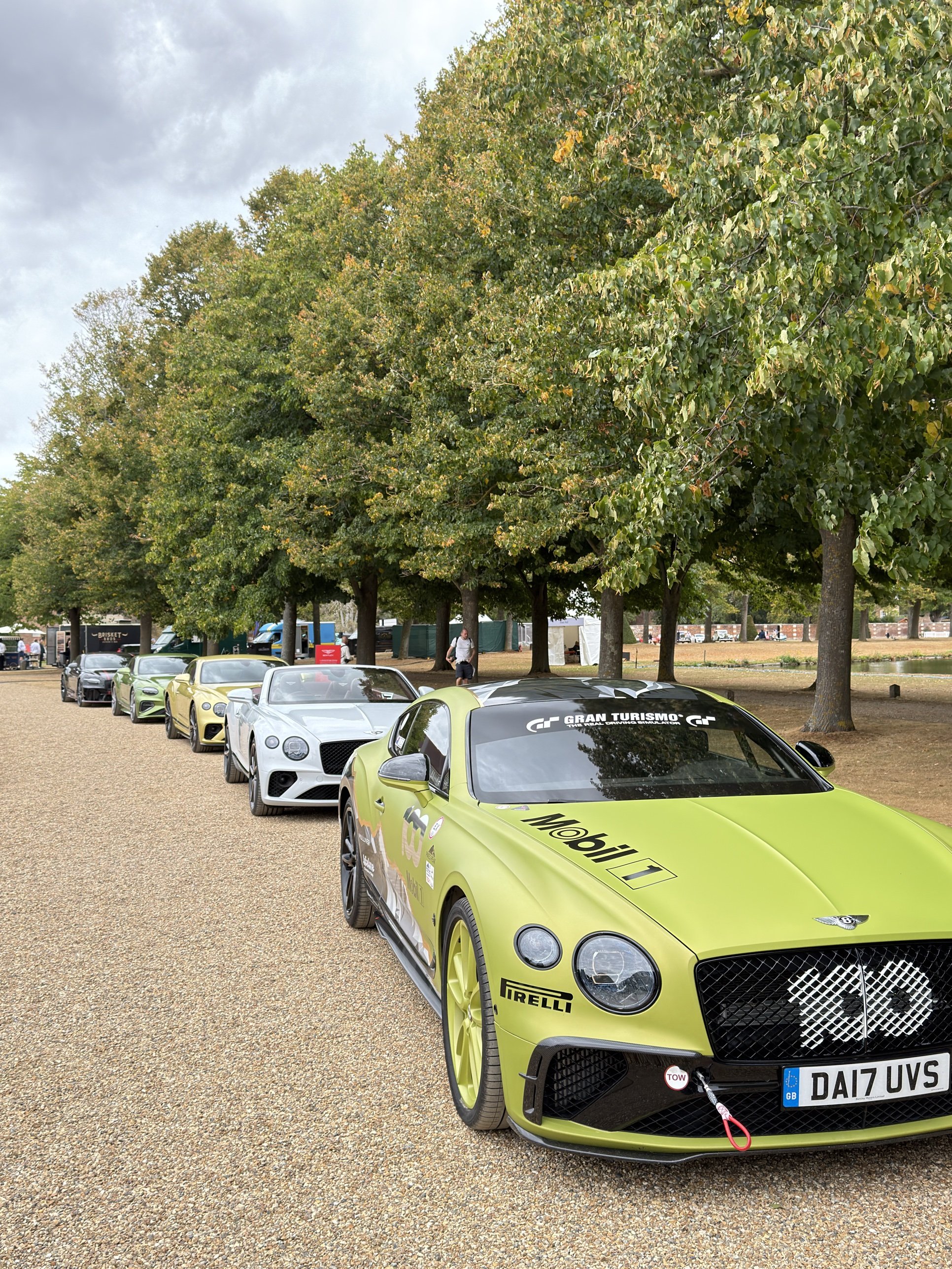 A line of Bentleys under the palace trees, led by a liveried Continental GT race car.