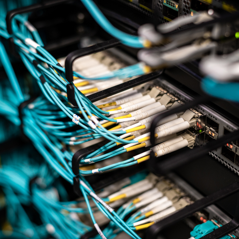 Close-up of organized blue network cables plugged into a server rack in a data center.
