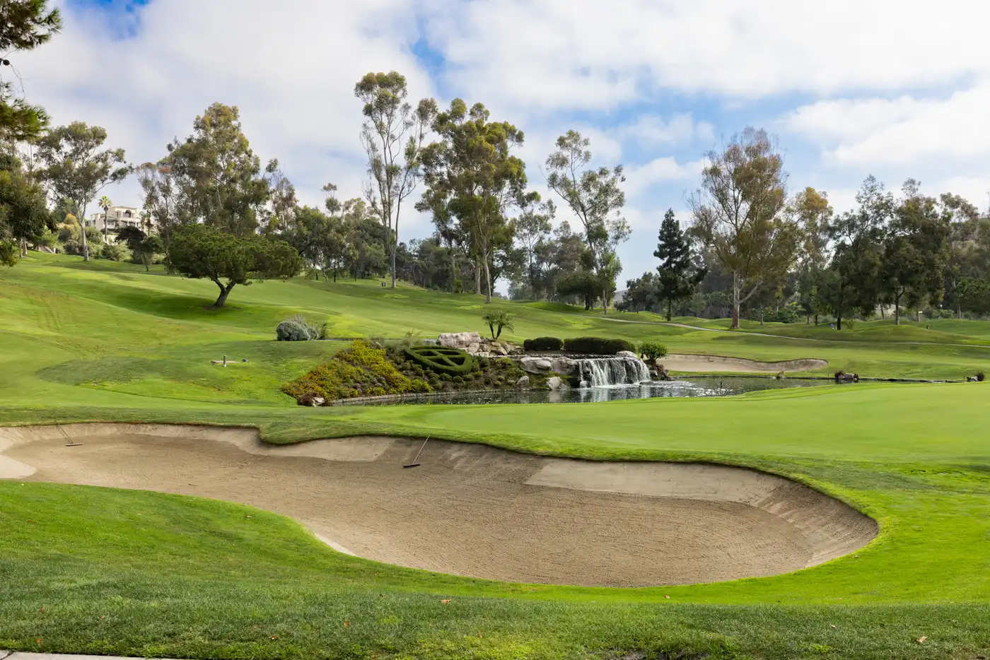 30951 Via Bravo property photo 23