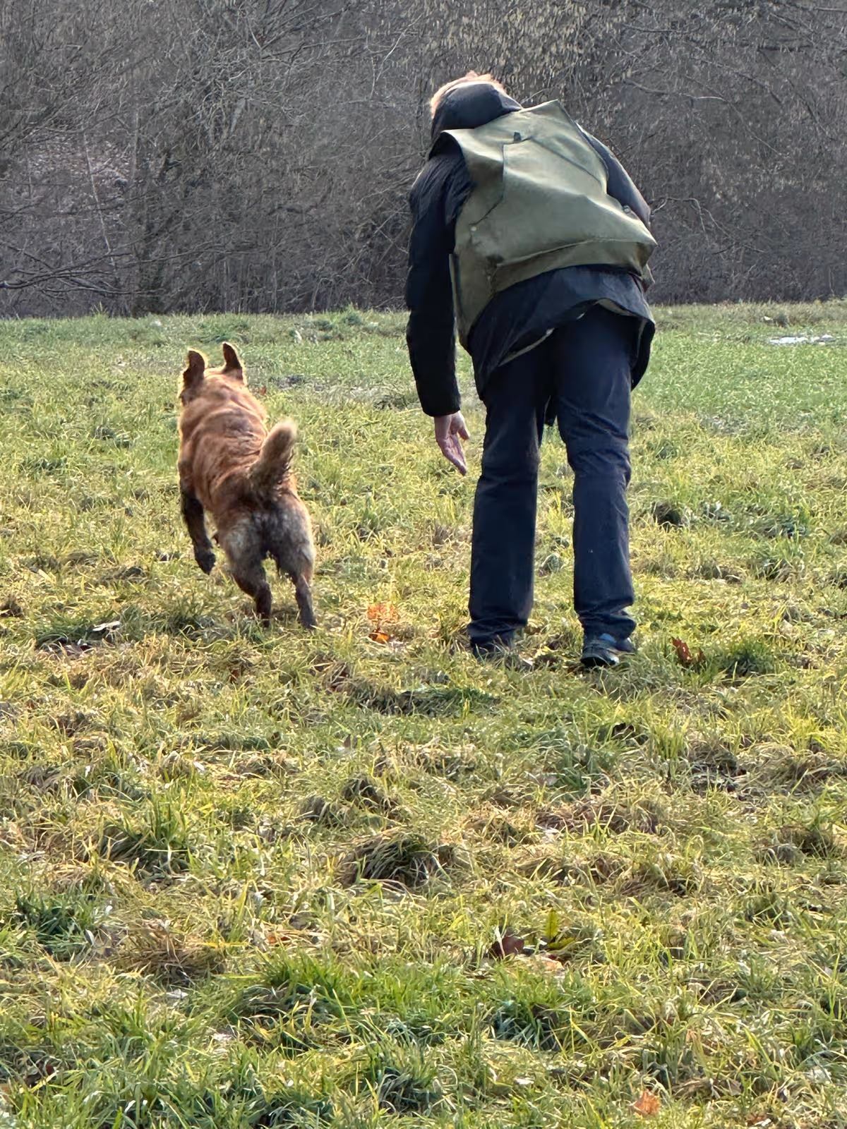 Person wearing a dark jacket and green backpack bending forward walking on grass with a brown dog beside them.