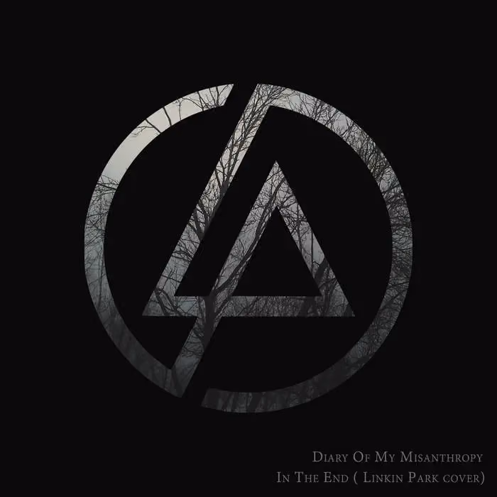 Linkin Park — In The End (Linkin Park cover) | Diary Of My Misanthropy