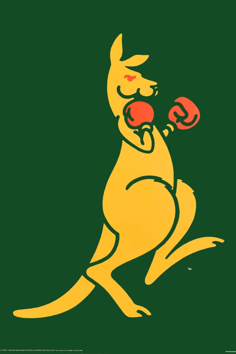 Boxing Kangaroo