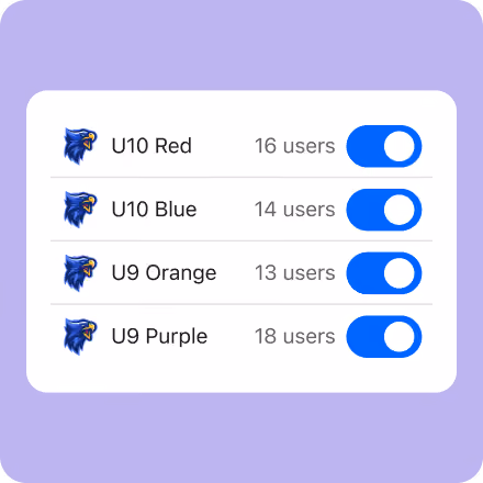 Settings for creating team websites