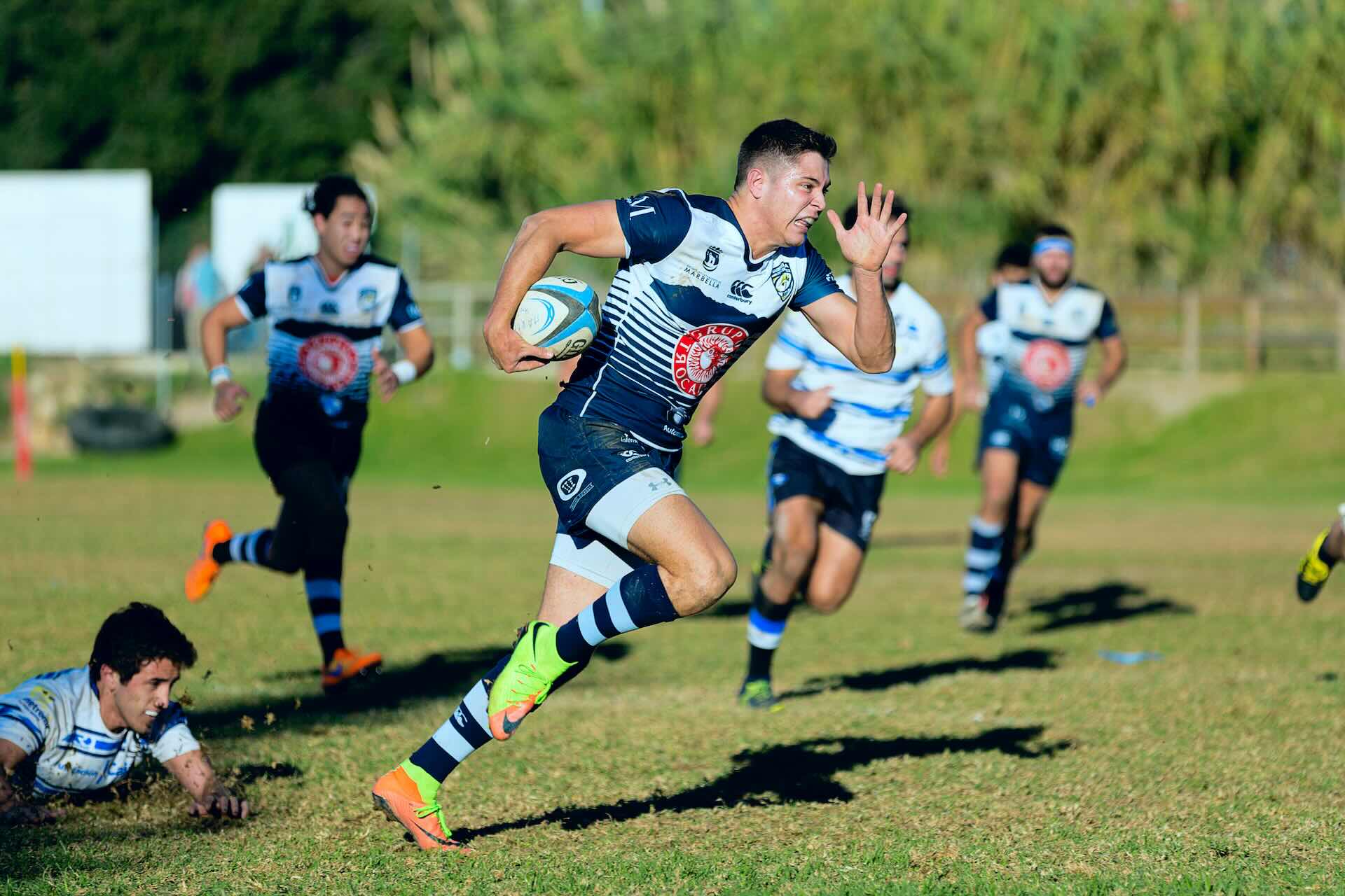 Male rugby player in navy and white uniform running quickly with the ball while opponents try to catch him on a grassy field.