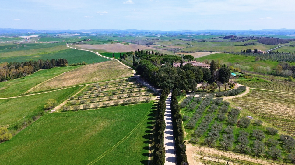 Aerial view of Tuscan landscape with cypress-lined road, vineyards, and olive groves surrounding Castello Higo luxury yoga and Pilates retreat center in Italy
