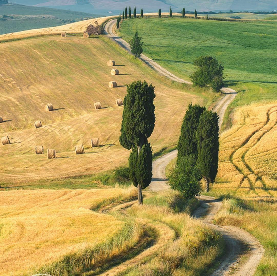 Scenic Tuscan landscape with cypress-lined road and golden fields near Castello Higo luxury yoga and Pilates retreat in Italy