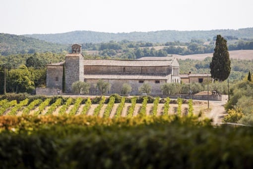 Historic Tuscan villa and vineyards surrounding Castello Higo, a luxury yoga and Pilates retreat destination in Italy