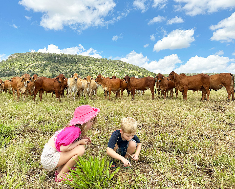 Farm children examine something on the ground