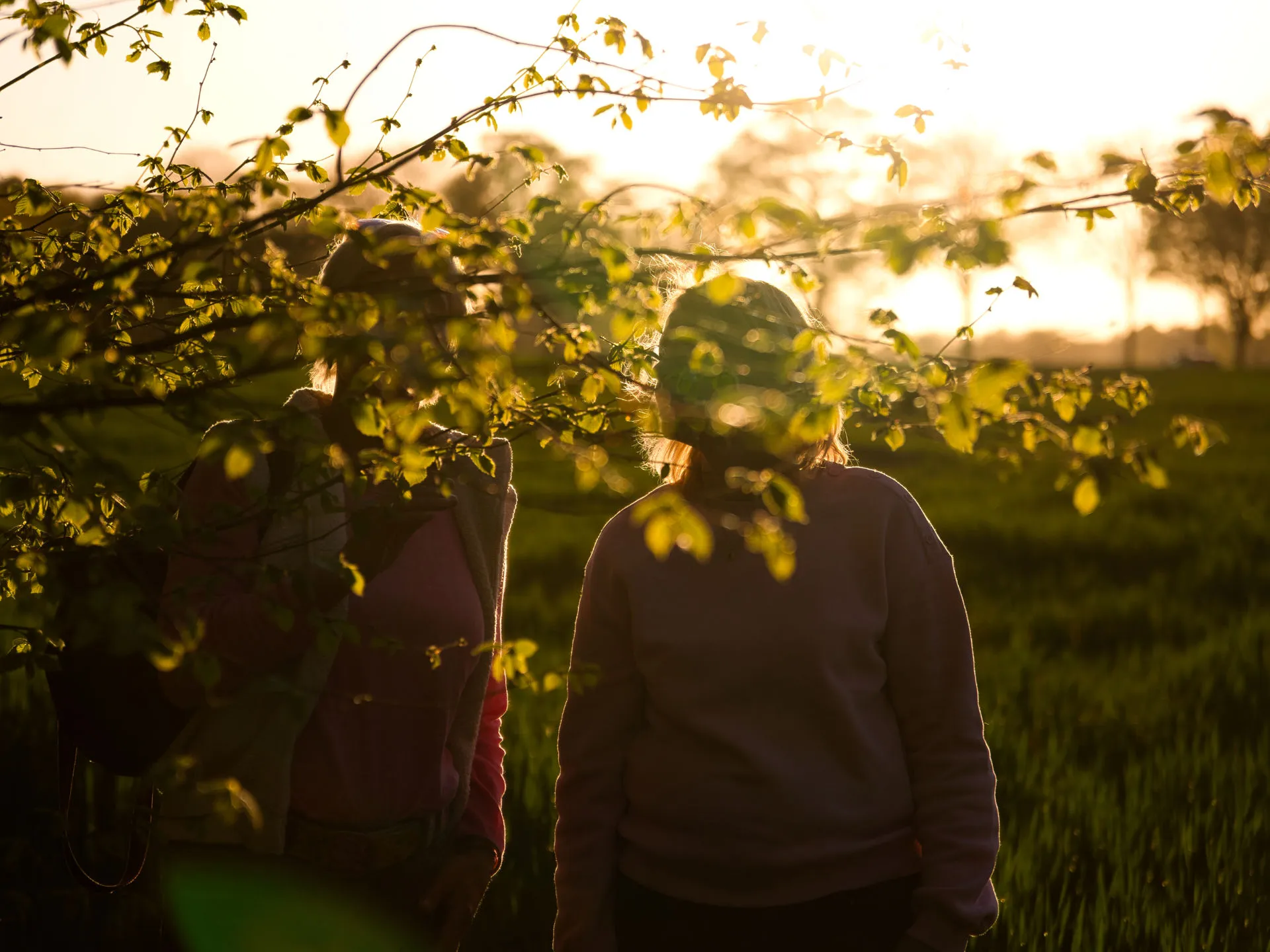 Two people standing behind leafy branches in a field at sunset with warm light.