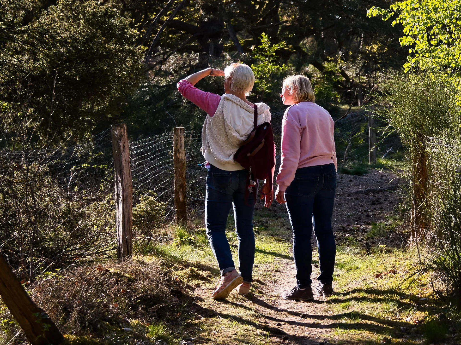 Two older women walking on a forest path, one shading eyes while looking ahead in daylight.