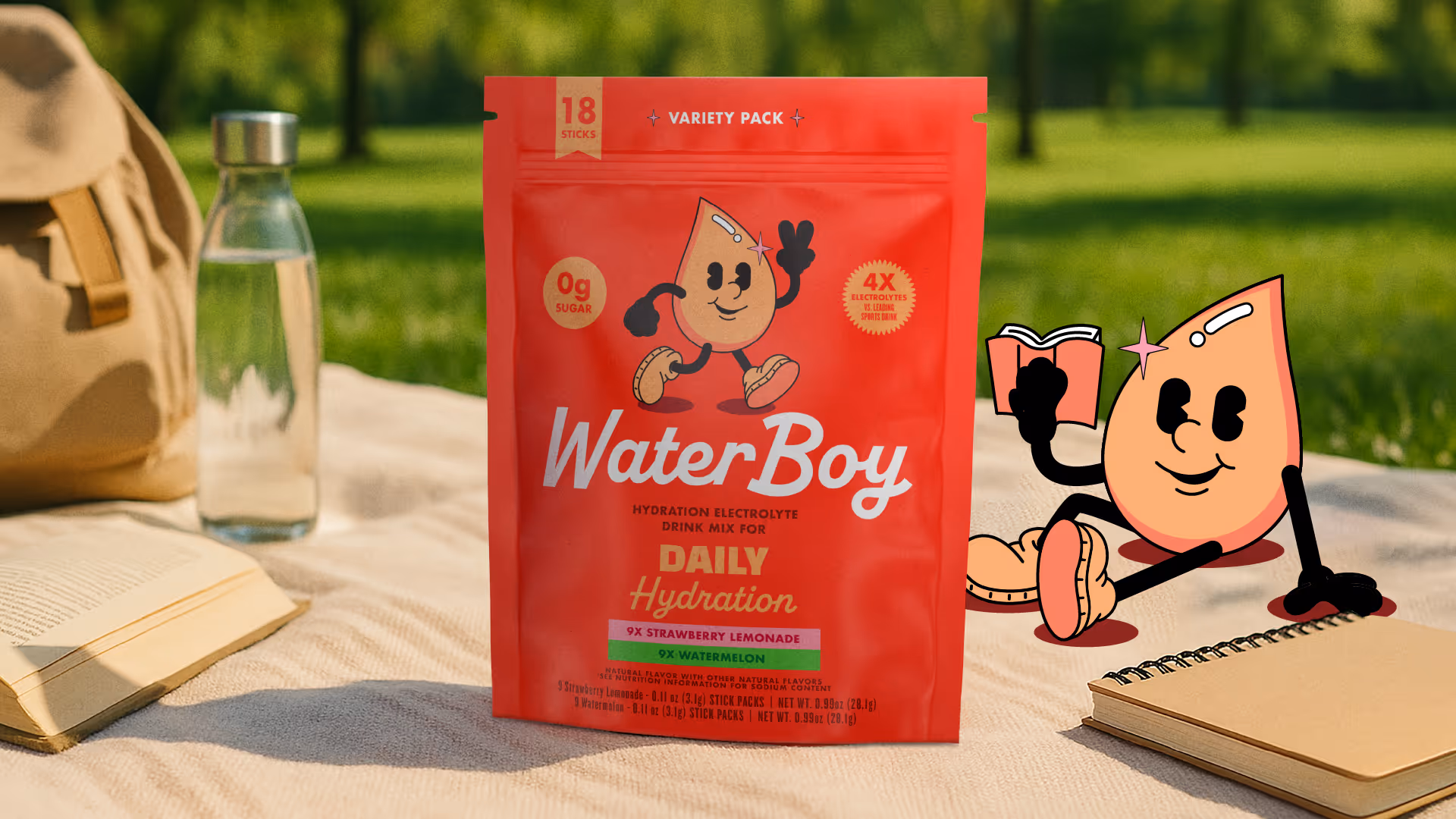 WaterBoy Daily Hydration variety pack packaging in an outdoor picnic scene with the water drop mascot reading.