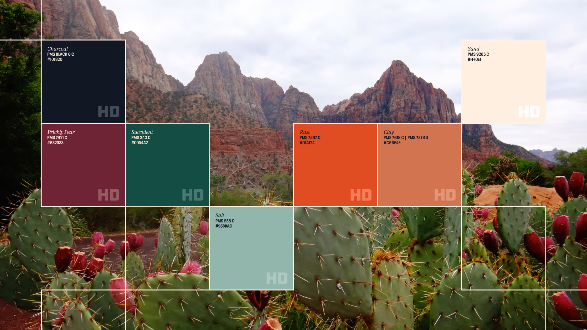 High Desert color palette grid over a cactus and mountain photo: Charcoal, Sand, Prickly Pear, Succulent, Rust, Clay, Sail.