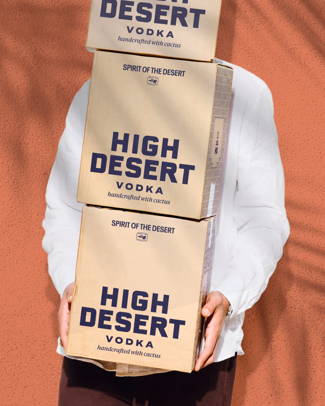 Person in a white shirt holding three kraft 'High Desert Vodka — Spirit of the Desert' shipping boxes against terracotta.