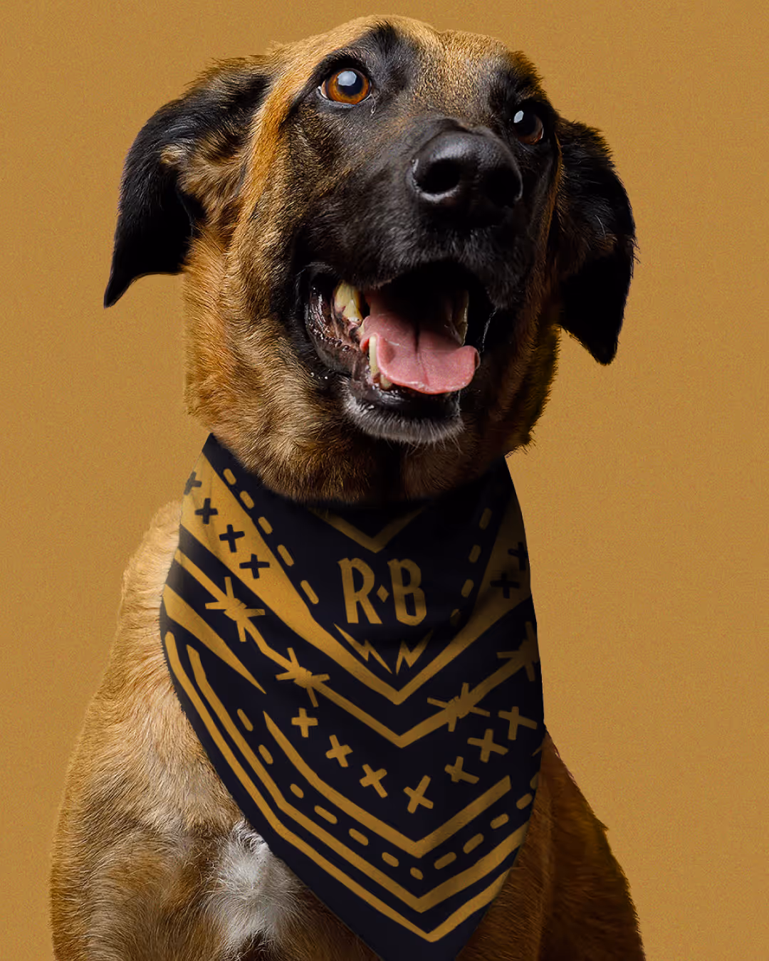 Tan mixed-breed dog wearing a black Rare Breed bandana with a gold 'R-B' monogram against a mustard backdrop.
