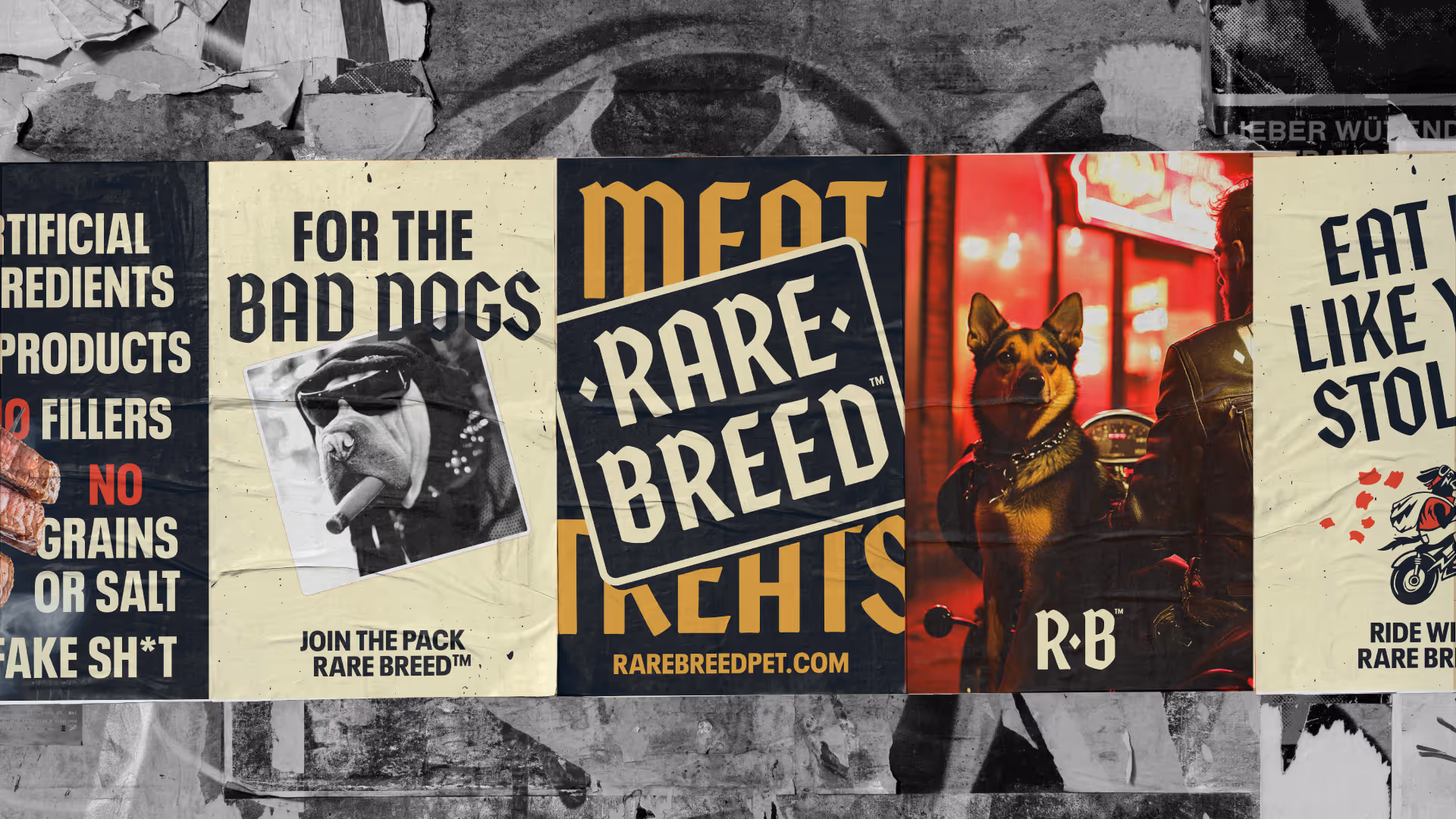 Wheatpasted Rare Breed posters: 'For the bad dogs,' wordmark, German shepherd in a leather jacket, 'Eat like you stole it'.