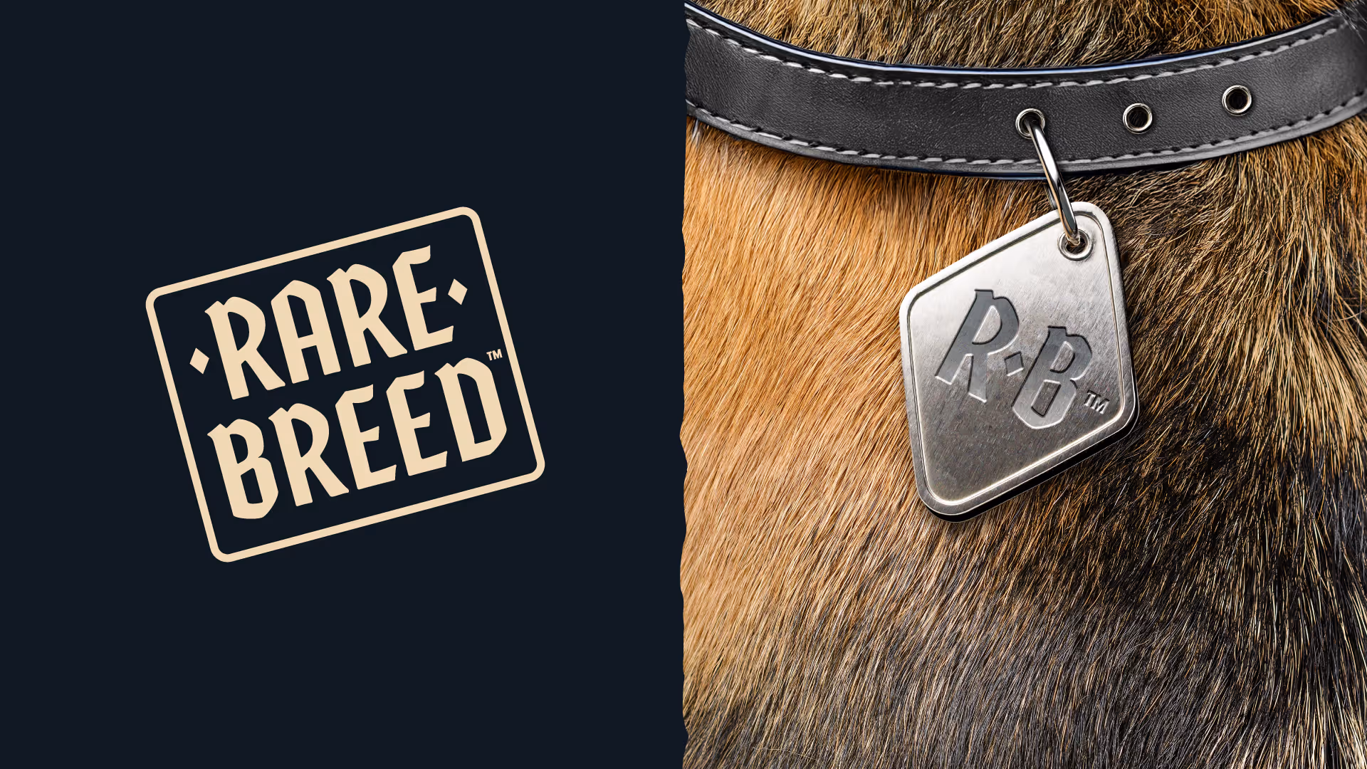 Rare Breed wordmark on navy beside a dog's furry neck wearing a leather collar with a diamond-shaped 'R-B' metal tag.
