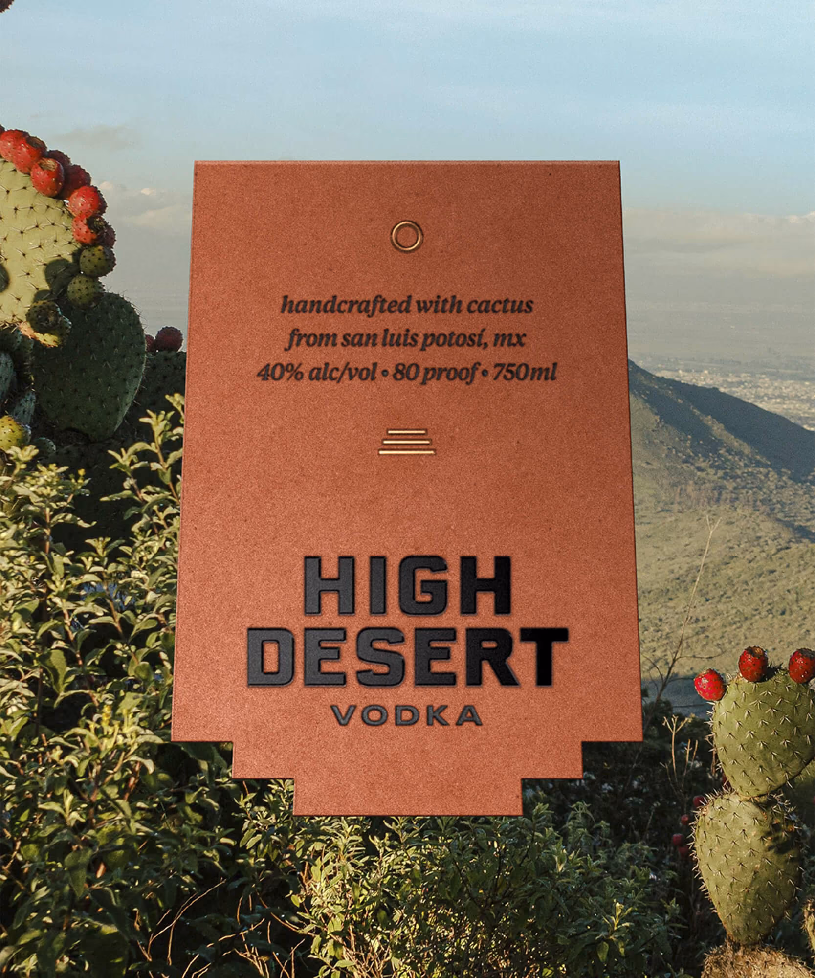 Orange die-cut hangtag reading 'Handcrafted with cactus from San Luis Potosí, MX' against prickly-pear cacti.