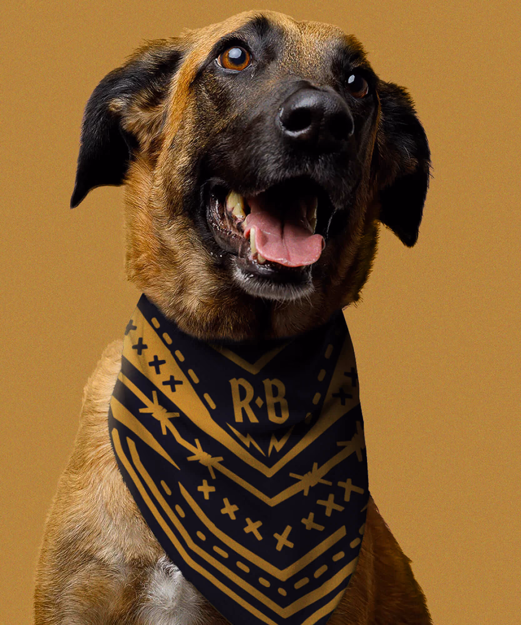 Tan mixed-breed dog wearing a black Rare Breed bandana with a gold 'R-B' monogram against a mustard backdrop.