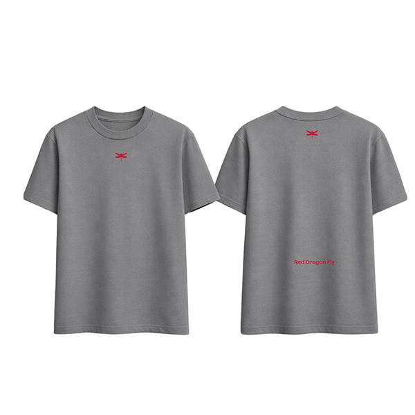 Gray T-Shirt