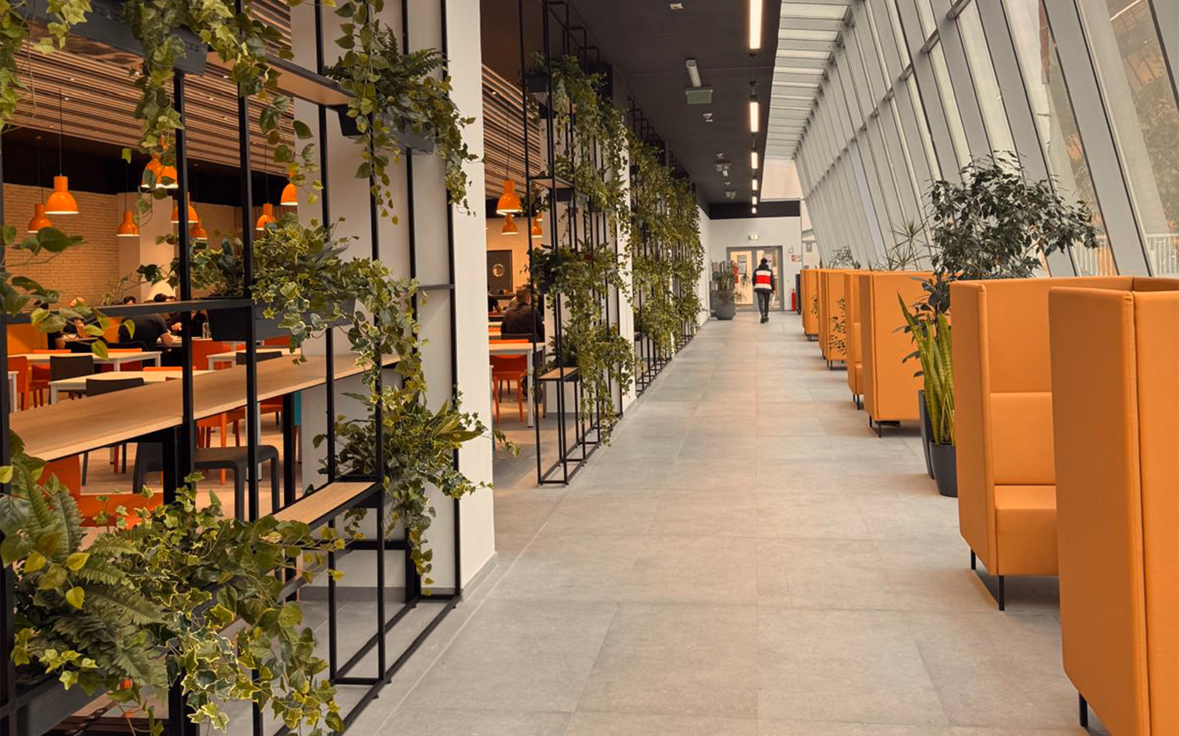 Modern office cafeteria with orange seating booths, green plants on shelves, and large windows.