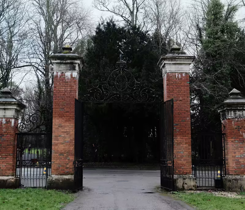 Aluminium vs Steel Driveway Gates: What Actually Lasts in Wellington
