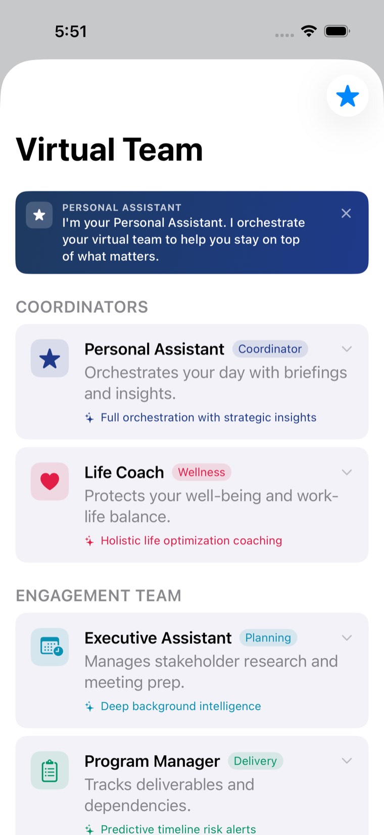 The Virtual Team screen, listing the Personal Assistant and Life Coach as coordinators, and the engagement team below them.