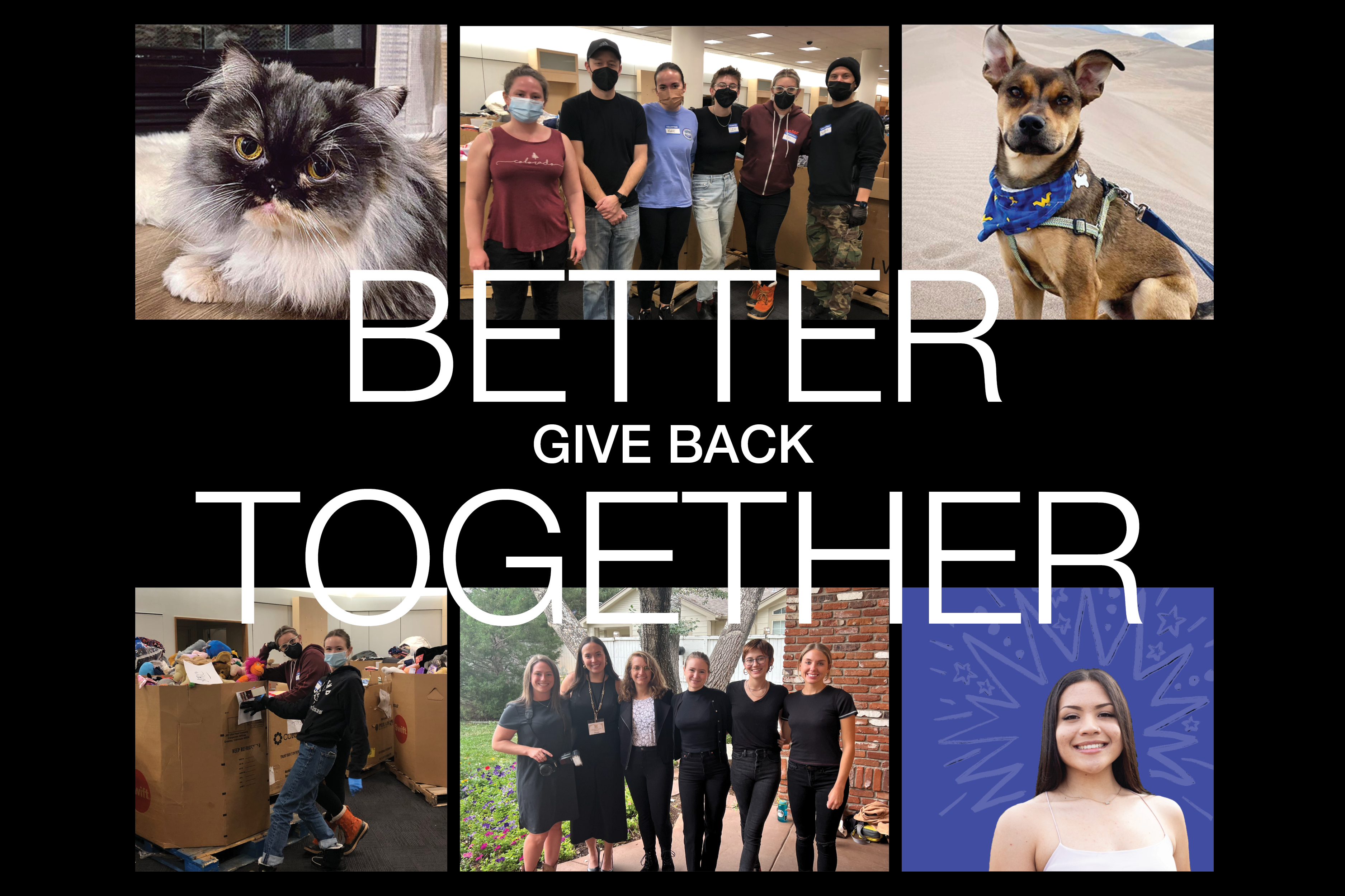 Better Together collage of the Interact team volunteering, sorting donations and their pets