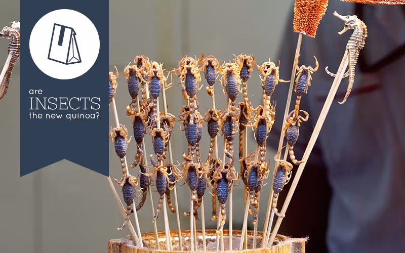 Are Insects the Next Quinoa?