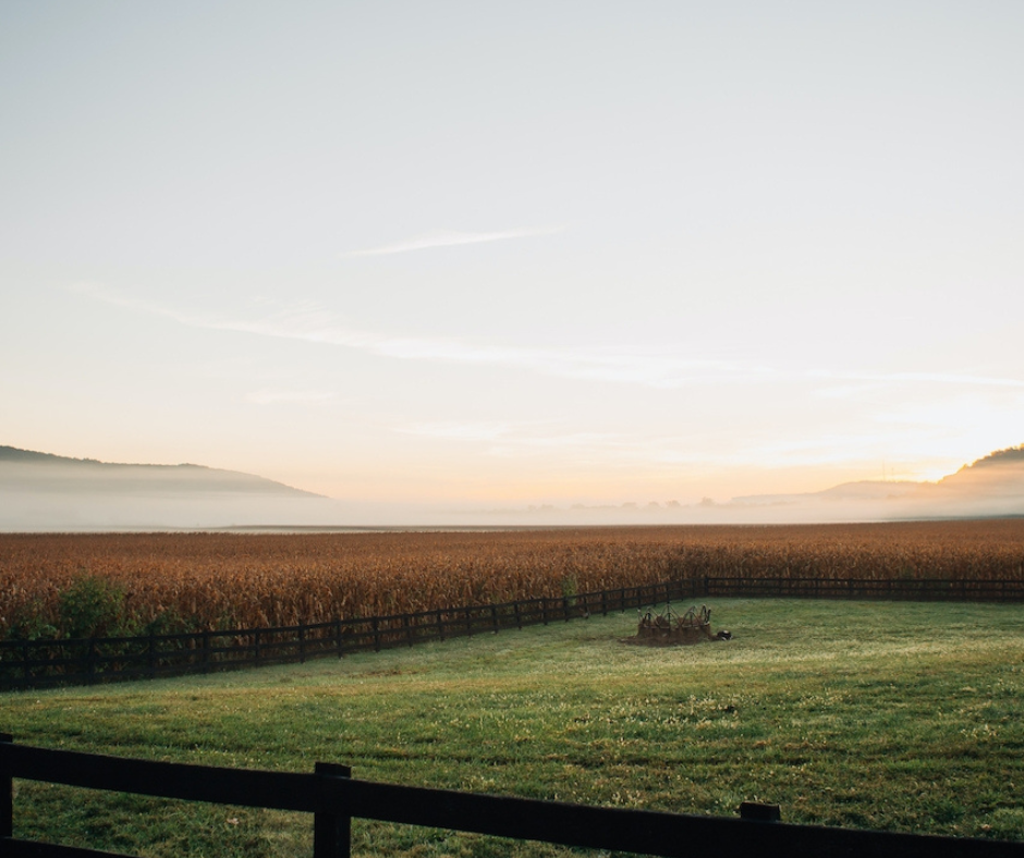 Misty sunrise over a corn field behind a wooden fence