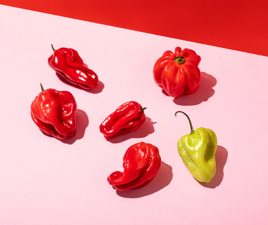 Five red habanero peppers and one green one arranged on a pink and red background