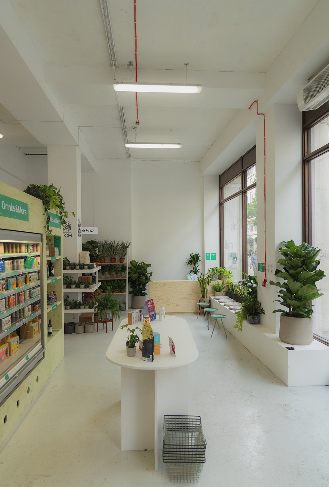 Bright interior of Raye Edition 04 with product shelves, plants and a central display table