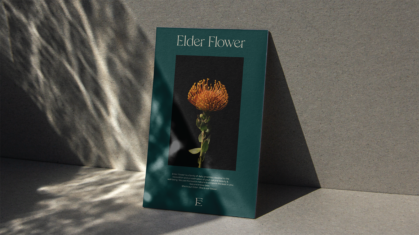 Elder Flower poster with a pincushion protea leaning against a sunlit wall