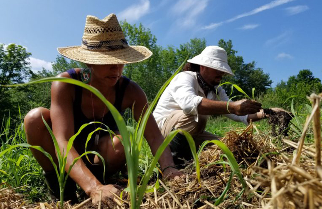 Food for All: How Black Communities are Battling Hunger