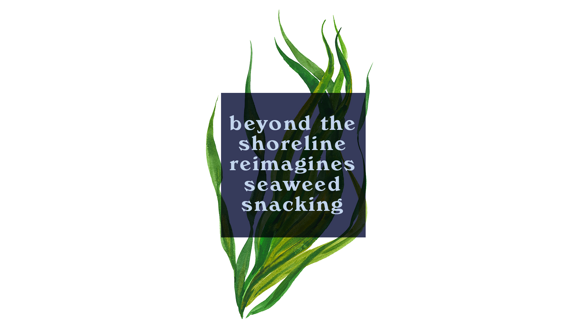 Beyond The Shoreline Reimagines Seaweed Snacking