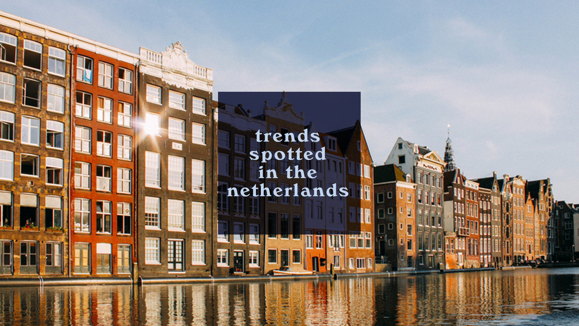 Trends Spotted in the Netherlands
