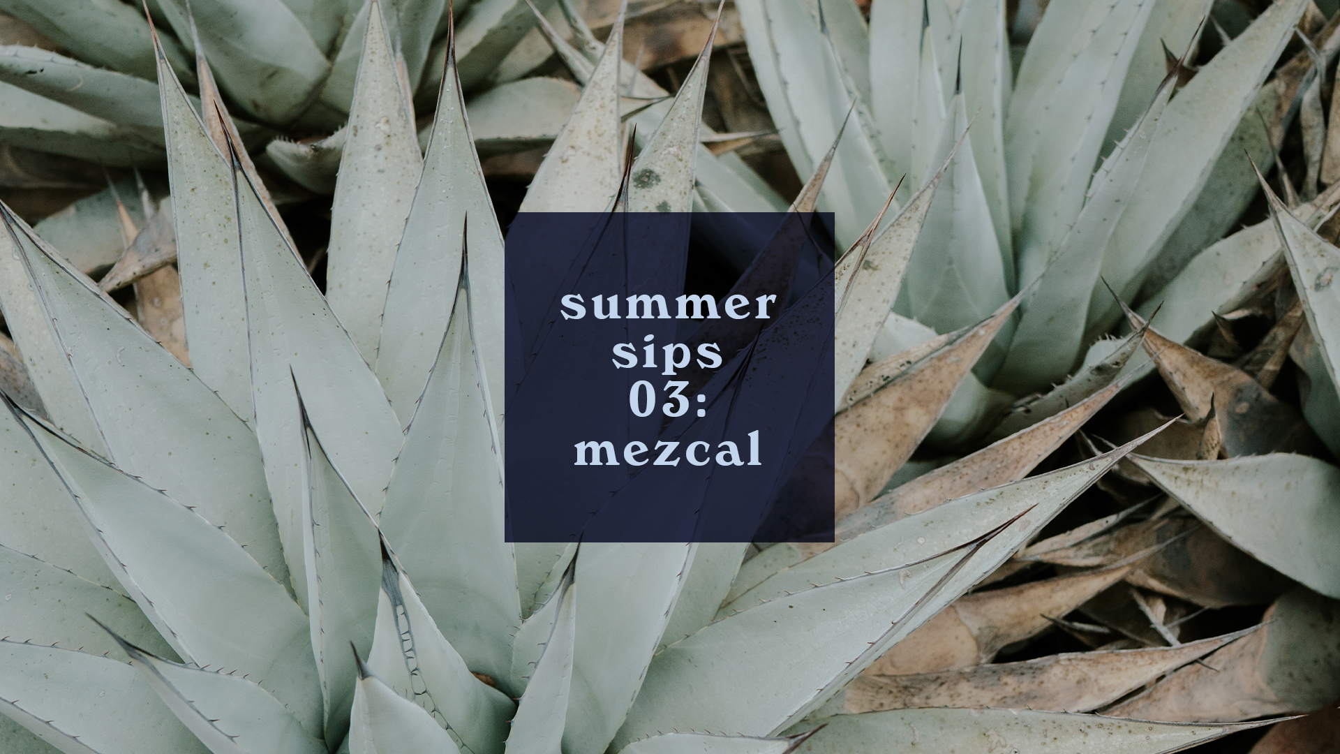 Summer Sips 03 - Mezcal